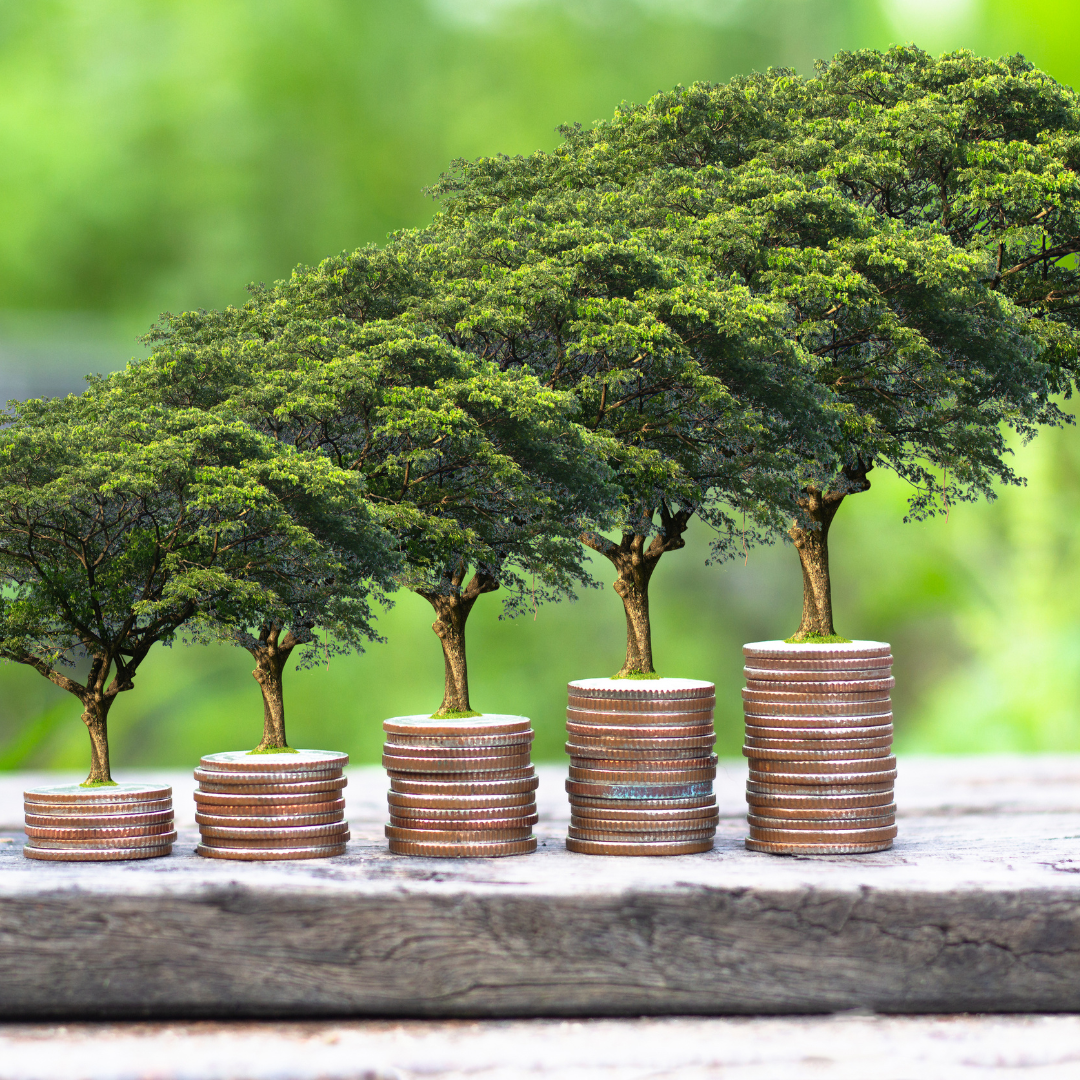 The image shows trees growing from coin stacks, symbolizing financial growth and increasing prosperity.