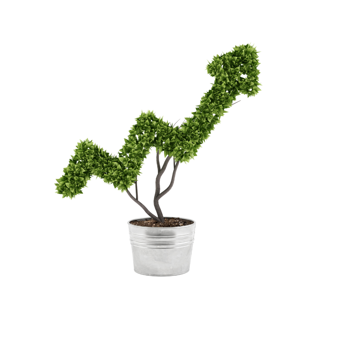 A silver pot with an upward-pointing green arrow-shaped plant, representing Aptimized's growth and innovative success.